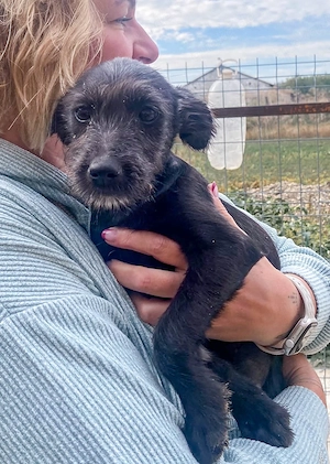 Tilda ist eine kleine Kuschelmaus