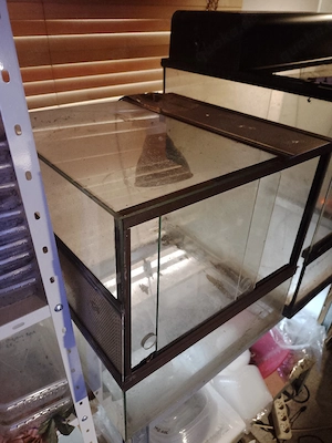 Terrarium für Aufzucht