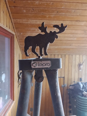 Schwenkgrill