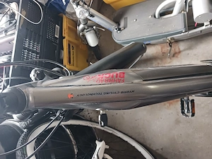 elektrische  Fahrrad 