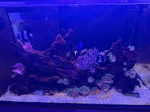 mewa aquarium komplett