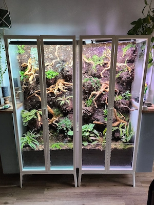 2 Ikea Milsbo Vitrinen umgebaut Pflanzen Terrarium 