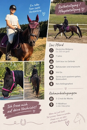 Reitbeteiligung   Pflegebeteiligung 