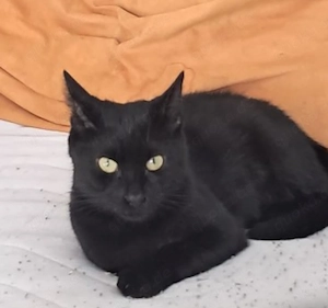 Aramis, 7 Monate, lieb