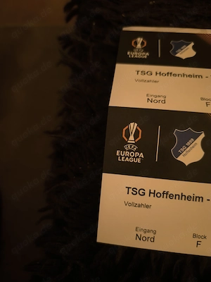 Hoffenheim gegen Lyon  Tickets 