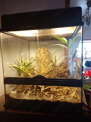 Exo Terra Terrarium