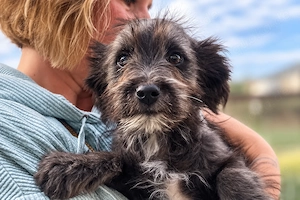 Loui, unser kleines Zwergerl ist einfach zum Verlieben