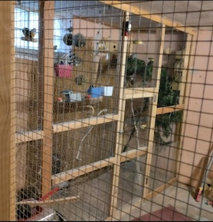 Tolle Voliere und 40 Vögel dringend zu Abgabe.