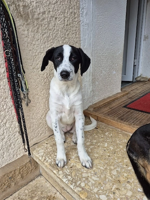 Wer verliebt sich in die kleine Kayleigh?