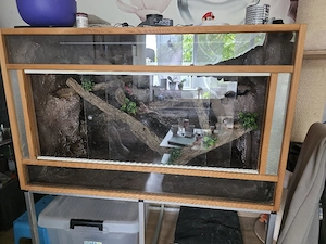 Terrarium 120x80x73 