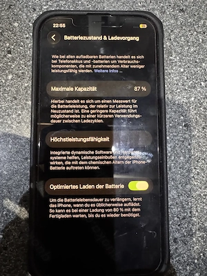 Apple iPhone 12 Pro Max, 256 GB Speicher, original Akku 87%