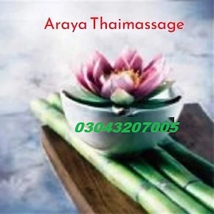 Araya Thaimassage Lichterfelde