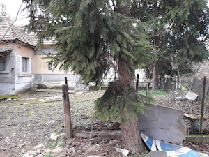 Haus mit 832 m  Grundstück in Zalaszabar am Kis-Balaton   ruhige Waldrandlage