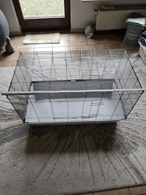 Meerschweinchen  Kleintierkäfig
