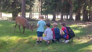 Kinderpfleger (m w d), Pädagogische Ergänzungskraft (m w d) Waldkindergarten