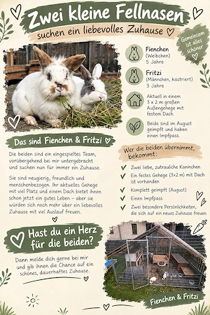 Fienchen und Fritzi suchen ein neues zuhause