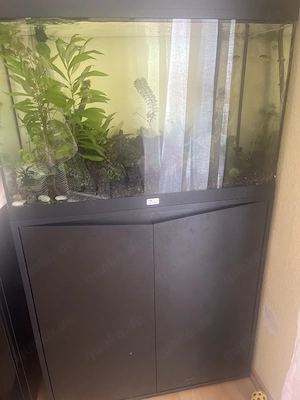 JUWEL Lido 120 LED Schwarz inkl. Unterschrank (SBX) + Komplettset   Zubehör