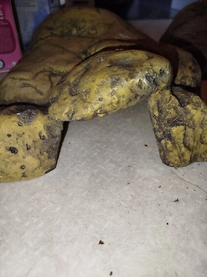 2x Exoterra Reptilienhöhle, ca. 25cm