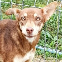 Thalia im Wachstum möchte etwas erleben
