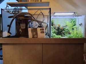 Aquarium komplett 