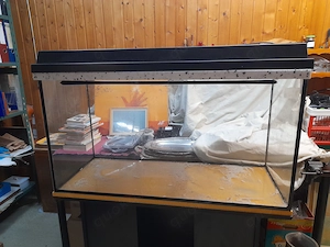 Aquarium mit Unterschrank und Beleuchtung abzugeben