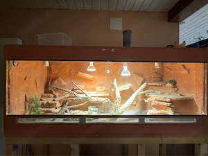 Terrarium zu verkaufen.