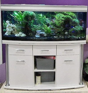 500l Panorama-Aquarium komplett 