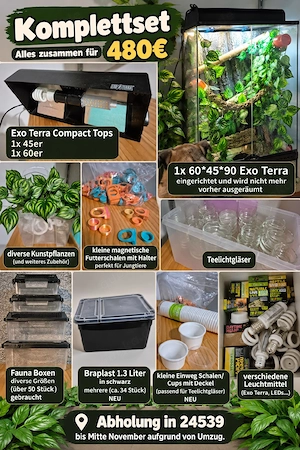 480 für alles - Komplett Abgabe: Terrarien usw - Kronengecko C. ciliatus