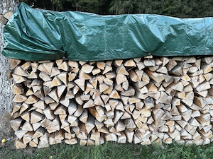 Brennholz Buche, Eiche
