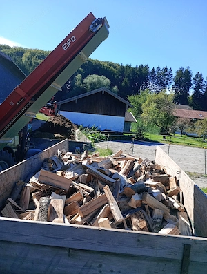 Brennholz, Fichte, trocken, ofenfertig, inklusive Lieferung 