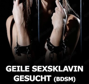Neugierig? Lust und Zeit? 