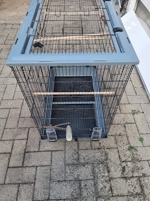 vogelkäfig 