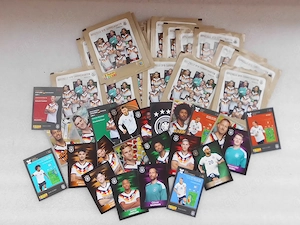 Panini Sammelbilder DFB WM 2026 Konvolut