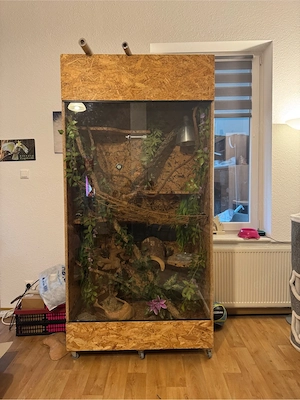 groses Terrarium Ohne tier ! Selbstabholer !