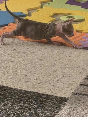 Baby Mädchen 