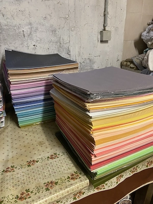 biete über 1600 geprägte unifarbene Scrapbookkarton mit Regal