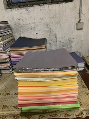 biete über 1600 geprägte unifarbene Scrapbookkarton mit Regal