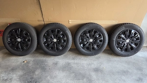 Winterräder Continental Seat Ibiza 5 (Polo 6, Fabia 4, Audi A1)