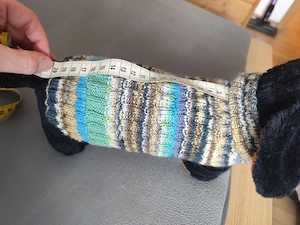 Chihuahua Pullover 