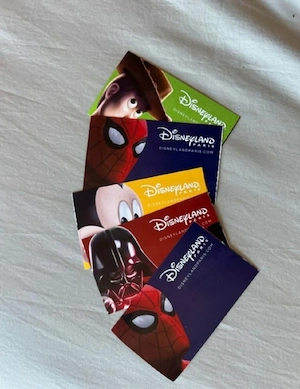 Tickets für Disneyland Paris