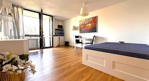  Möbliertes Studio direkt am Wöhrder See   mit Balkon & Tiefgaragenstellplatz inkl.   ab sofort.  