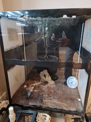 Terrarium Paw Hut  70cm 60cm 40cm