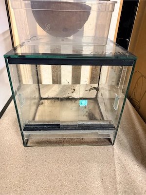Terrarien zu verkaufen