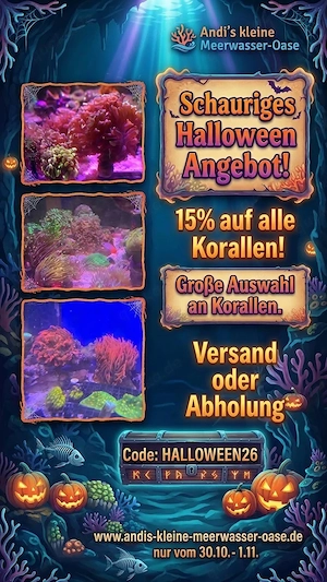 Halloween Special 