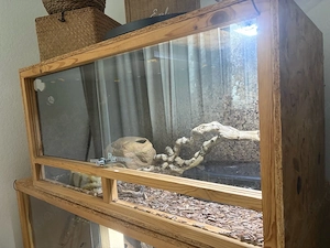 osb terrarium 100x50x50