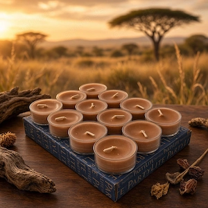 PartyLite 12 Teelichter VO4744E Safari Tamboti NEU & OVP