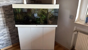 Apuarium mit ausenpumpe