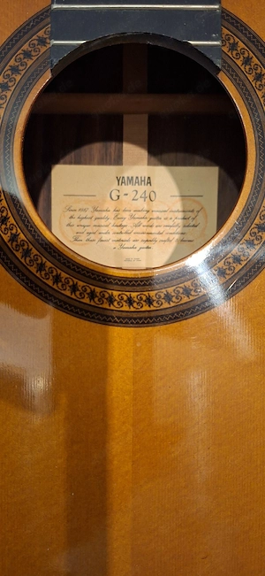 Gitarre Yamaha G20