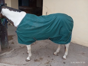Bucas Altex Rain Regendecke