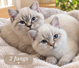 BKH 2-Jungs 